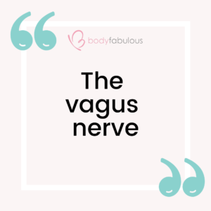 vagus-nerve-cortisol-rushing-womans-syndrome-pregnancy-postpartum