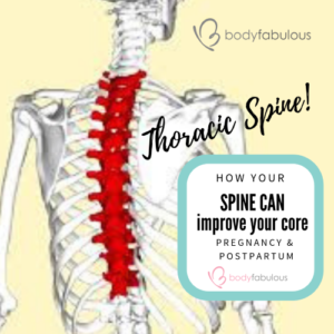 thoracic_spine_core