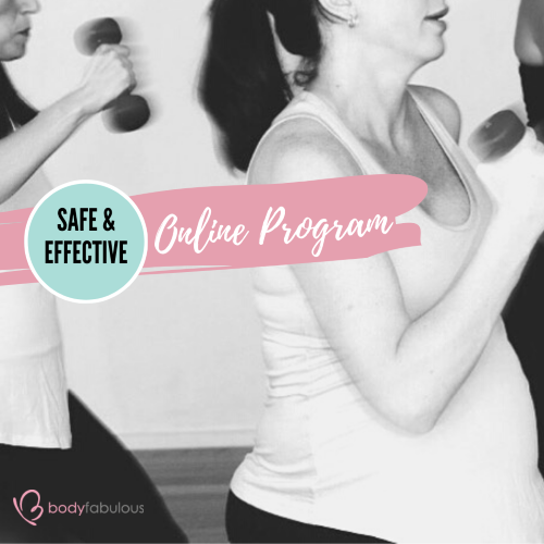 safe_online_pregnancy_program
