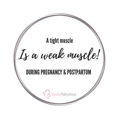 prolapse_pelvic_floor_postpartum_exercise_muscles