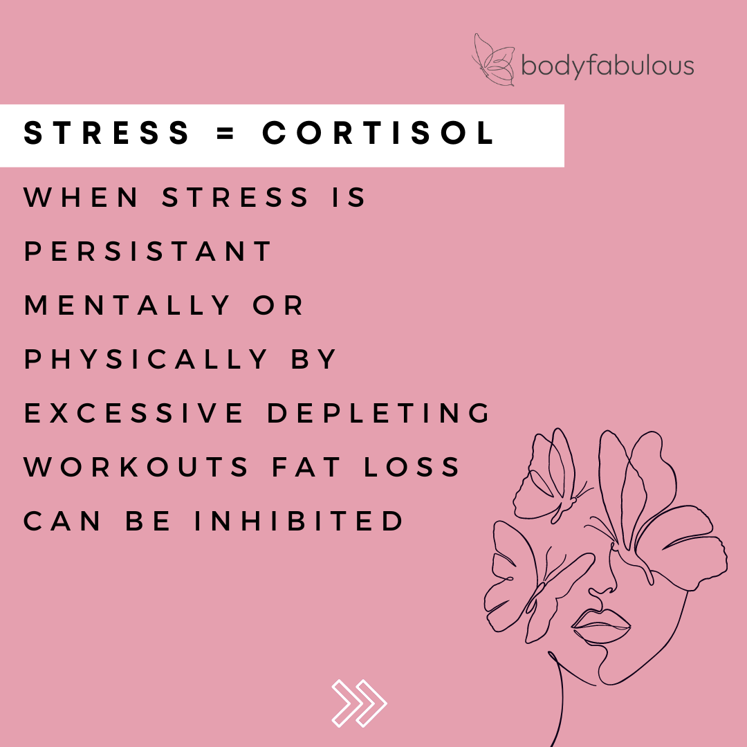 cortisol, belly fat, meno belly, perimenopause fitness, kegels, menopause specialist, fitness over 35, perimenopause, australias best female fitness specialist, modern core workout