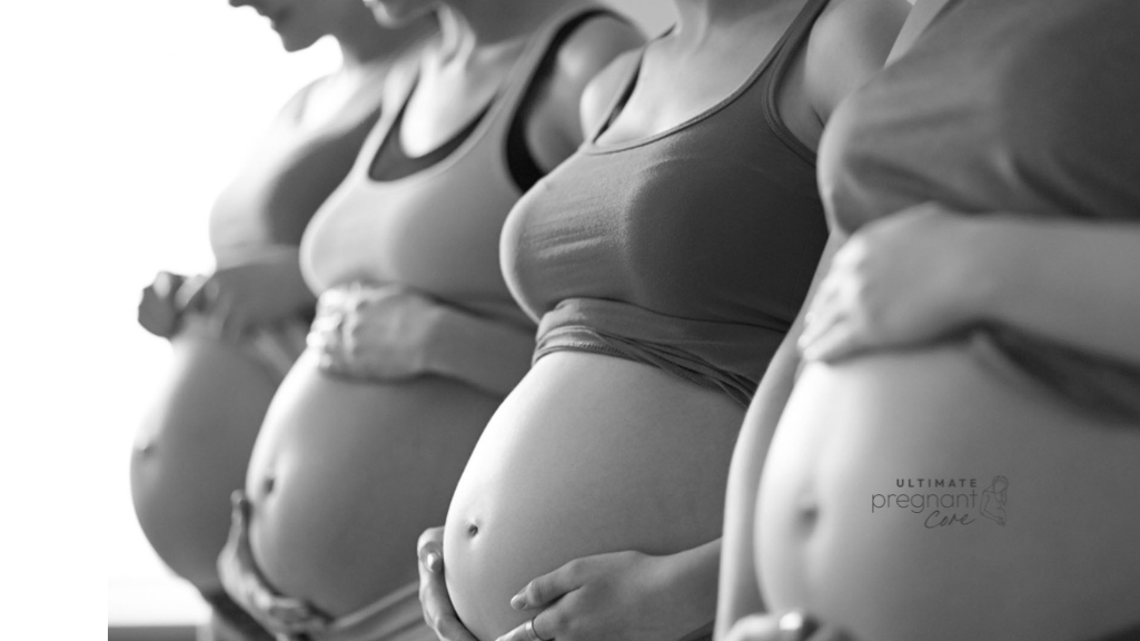 pregnancy-exercise-bodyfabulous-certified-coach-online-personal-training-australias-best trainer-female-fitness-core-training-pelvic floor exercises